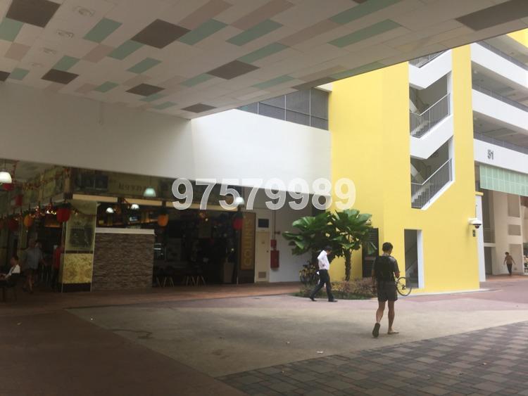 Blk 52 Havelock Road (Bukit Merah), HDB 4 Rooms #165351532
